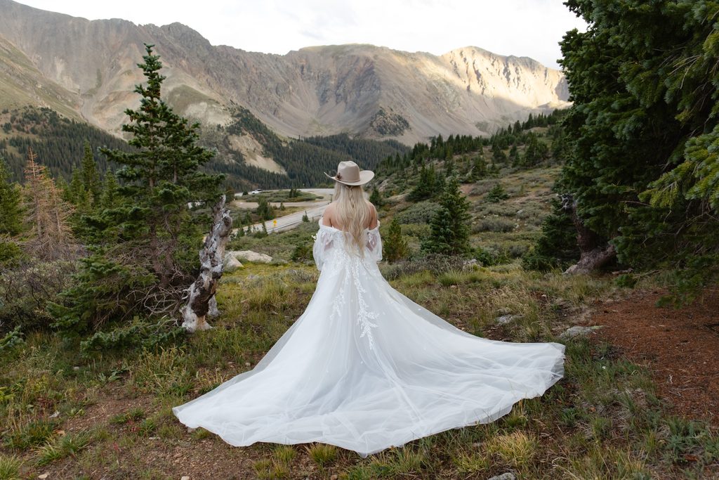 A bride stands with her back to the camera with her dressed fluffed looking out at the mountains
